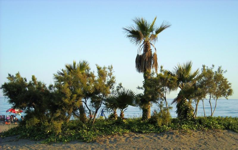 Dunas de la Carraca