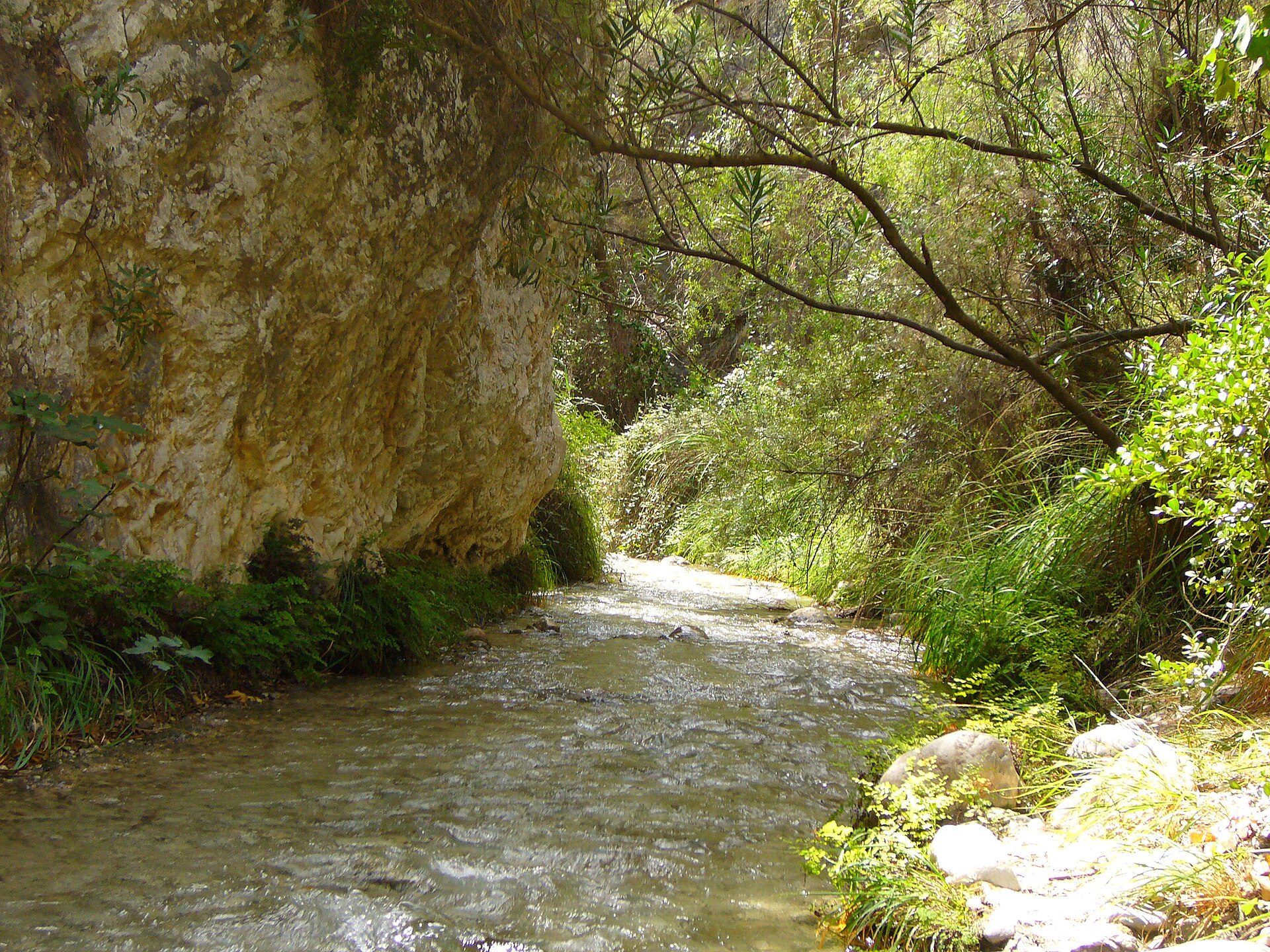 Río Chíllar entre paredes de roca y vegetación